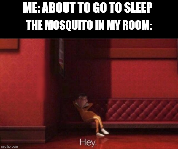 Hey. | ME: ABOUT TO GO TO SLEEP; THE MOSQUITO IN MY ROOM: | image tagged in hey | made w/ Imgflip meme maker