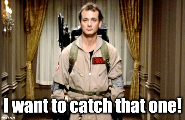 Bill Murray Ghostbusters | I want to catch that one! | image tagged in bill murray ghostbusters | made w/ Imgflip meme maker