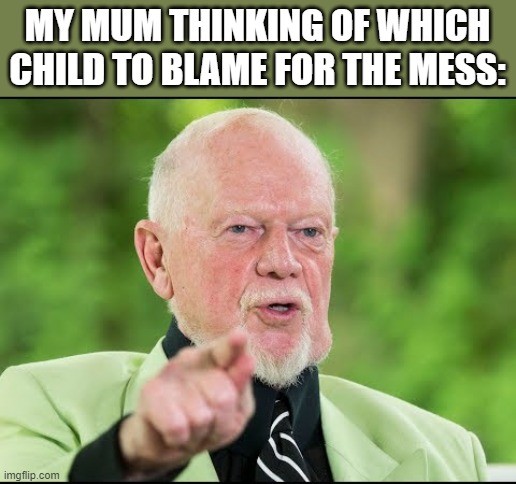 Meme | MY MUM THINKING OF WHICH CHILD TO BLAME FOR THE MESS: | image tagged in don cherry you people | made w/ Imgflip meme maker