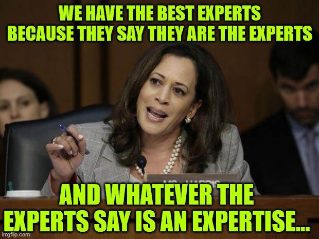 More Harris word salad... they have the best "experts" | WE HAVE THE BEST EXPERTS BECAUSE THEY SAY THEY ARE THE EXPERTS; AND WHATEVER THE EXPERTS SAY IS AN EXPERTISE... | image tagged in kamala harris,dem experts,best money can buy | made w/ Imgflip meme maker