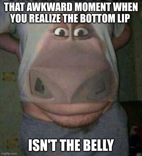 When you see it... | THAT AWKWARD MOMENT WHEN YOU REALIZE THE BOTTOM LIP; ISN'T THE BELLY | image tagged in when you see it,can't unsee,pass the unsee juice my bro,unsee juice | made w/ Imgflip meme maker