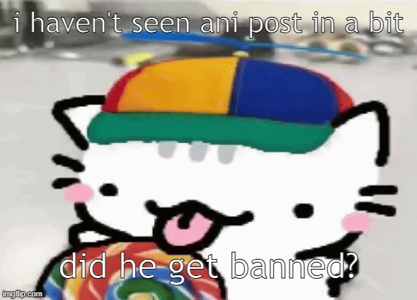 cat licking lollipop | i haven't seen ani post in a bit; did he get banned? | image tagged in cat licking lollipop | made w/ Imgflip meme maker