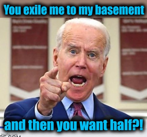 Joe Biden no malarkey | You exile me to my basement and then you want half?! | image tagged in joe biden no malarkey | made w/ Imgflip meme maker