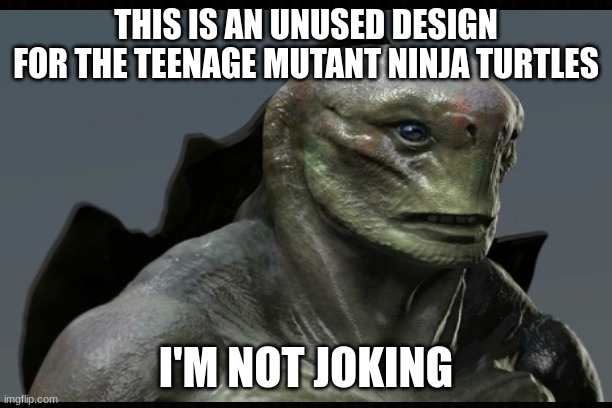 Teenage Mutant Ninja Turtles: Unused Design | THIS IS AN UNUSED DESIGN FOR THE TEENAGE MUTANT NINJA TURTLES; I'M NOT JOKING | image tagged in teenage mutant ninja turtles,creepypasta | made w/ Imgflip meme maker