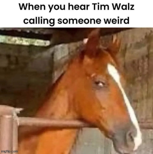 Tim Walz... the King of Weird | image tagged in tim walz,definition of weird | made w/ Imgflip meme maker