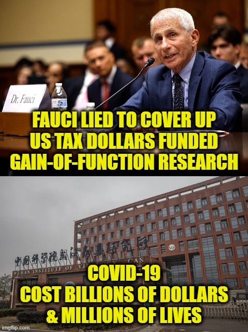 COVID-19 disaster | FAUCI LIED TO COVER UP
US TAX DOLLARS FUNDED
GAIN-OF-FUNCTION RESEARCH; COVID-19
COST BILLIONS OF DOLLARS
& MILLIONS OF LIVES | image tagged in covid-19 | made w/ Imgflip meme maker