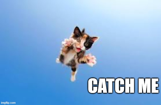 memes by Brad - Flying kitten yells out "catch" | CATCH ME | image tagged in funny,kitten,cats,cute kitten,funny cat memes,humor | made w/ Imgflip meme maker