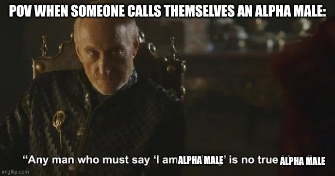 Any man who must say I am the alpha male is no true alpha male | POV WHEN SOMEONE CALLS THEMSELVES AN ALPHA MALE:; ALPHA MALE; ALPHA MALE | image tagged in funny | made w/ Imgflip meme maker