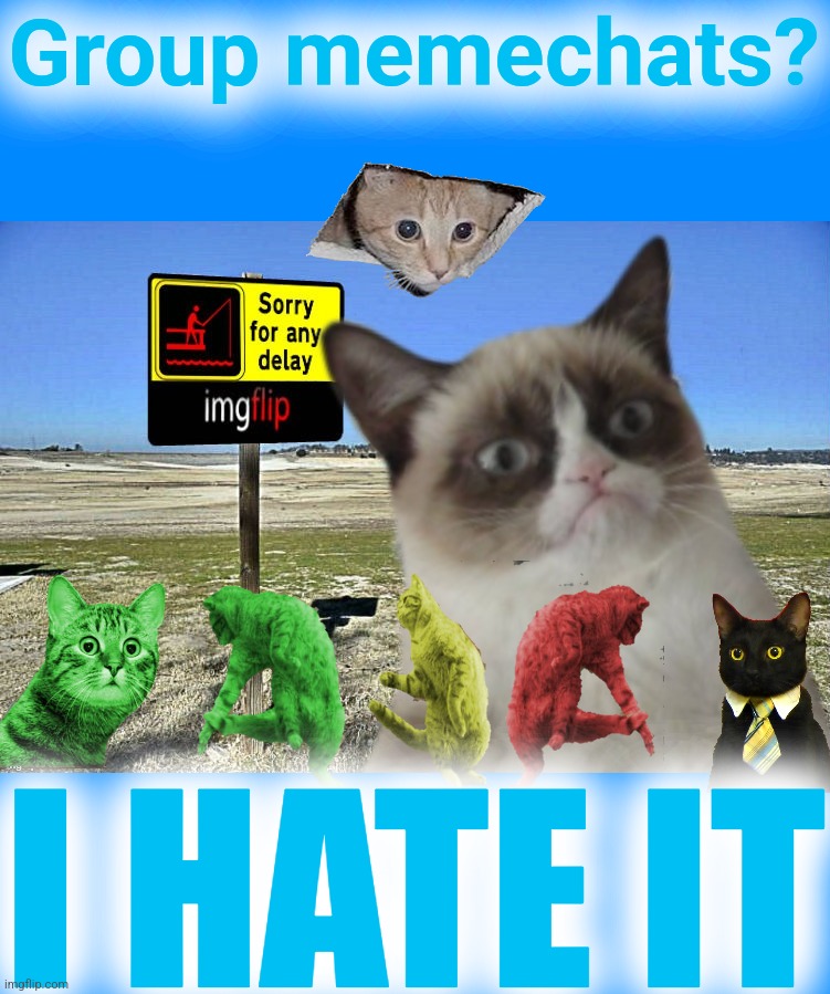 Grumpy Cat imgflip | Group memechats? I HATE IT | image tagged in grumpy cat imgflip | made w/ Imgflip meme maker