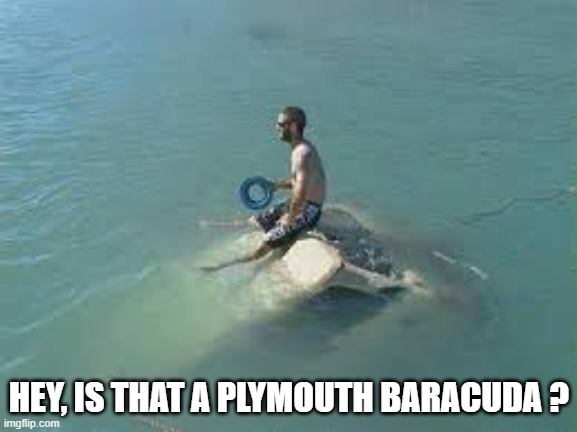 memes by Brad - Gone fishing with car in the water - humor | HEY, IS THAT A PLYMOUTH BARACUDA ? | image tagged in funny,sports,fishing,fails,funny meme,humor | made w/ Imgflip meme maker