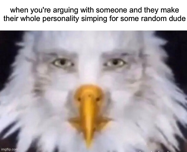 and the person their simping for is either a 40 yr old man or an evil incarnate or a 5 yr old | when you're arguing with someone and they make their whole personality simping for some random dude | image tagged in eagle straight face | made w/ Imgflip meme maker