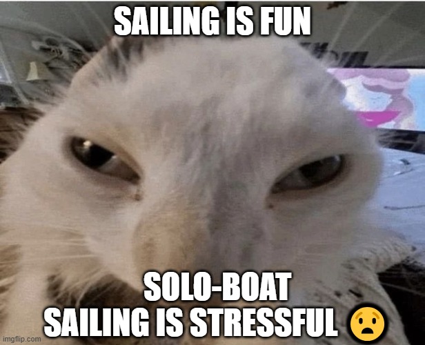 solo-boat is made to make you have a rise of adrenaline in 1 second fr | SAILING IS FUN; SOLO-BOAT SAILING IS STRESSFUL 😧 | image tagged in g | made w/ Imgflip meme maker