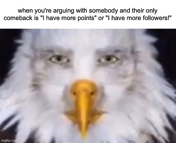 eagle straight face | when you're arguing with somebody and their only comeback is "I have more points" or "I have more followers!" | image tagged in eagle straight face | made w/ Imgflip meme maker