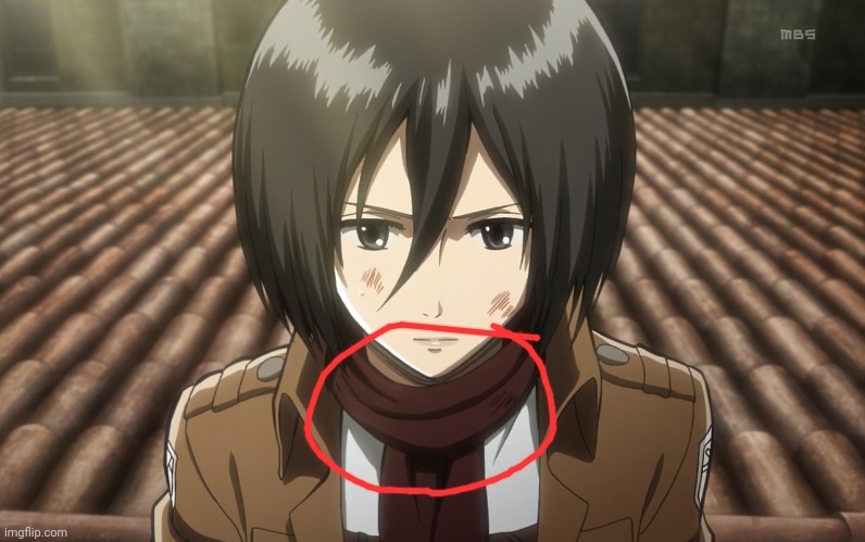 Mikasa hurt | image tagged in mikasa hurt | made w/ Imgflip meme maker