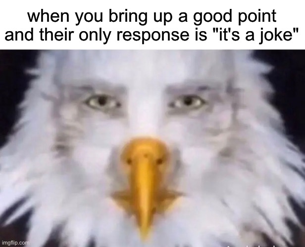 eagle straight face | when you bring up a good point and their only response is "it's a joke" | image tagged in eagle straight face | made w/ Imgflip meme maker