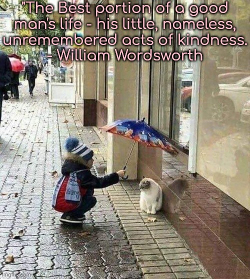 *good person's life | "The Best portion of a good
man's life - his little, nameless,
unremembered acts of kindness.
- William Wordsworth | image tagged in kindness,inspirational quote,wisdom | made w/ Imgflip meme maker