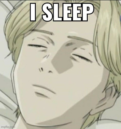 I sleep | image tagged in i sleep | made w/ Imgflip meme maker