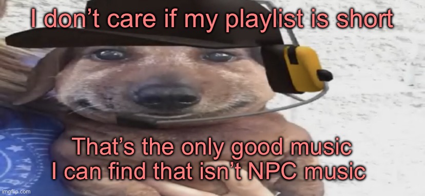 chucklenuts | I don’t care if my playlist is short; That’s the only good music I can find that isn’t NPC music | image tagged in chucklenuts | made w/ Imgflip meme maker