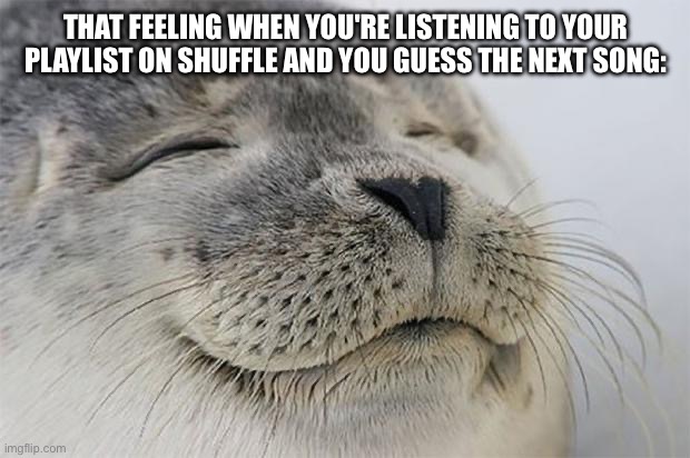 Satisfied Seal Meme | THAT FEELING WHEN YOU'RE LISTENING TO YOUR PLAYLIST ON SHUFFLE AND YOU GUESS THE NEXT SONG: | image tagged in memes,satisfied seal | made w/ Imgflip meme maker