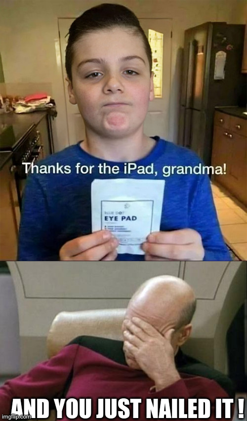 Thats stupid | AND YOU JUST NAILED IT ! | image tagged in memes,captain picard facepalm,funny,ipad,you had one job | made w/ Imgflip meme maker