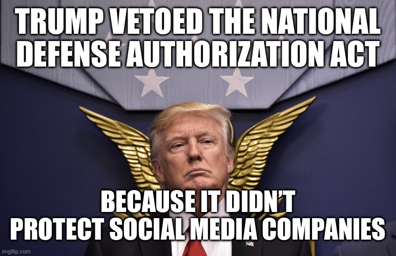 Trump doesn’t care about national defense or military | TRUMP VETOED THE NATIONAL DEFENSE AUTHORIZATION ACT; BECAUSE IT DIDN’T PROTECT SOCIAL MEDIA COMPANIES | image tagged in donald trump,military,politics | made w/ Imgflip meme maker