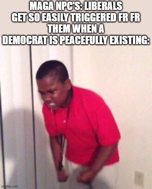 angry black kid | MAGA NPC'S: LIBERALS GET SO EASILY TRIGGERED FR FR
THEM WHEN A DEMOCRAT IS PEACEFULLY EXISTING: | image tagged in angry black kid | made w/ Imgflip meme maker