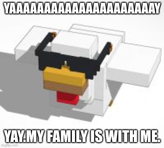 YAAAAAAAAAAAAAAAAAAAAAY YAY.MY FAMILY IS WITH ME. | image tagged in thug chiken | made w/ Imgflip meme maker