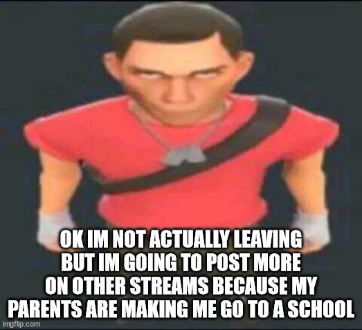 bro | OK IM NOT ACTUALLY LEAVING BUT IM GOING TO POST MORE ON OTHER STREAMS BECAUSE MY PARENTS ARE MAKING ME GO TO A SCHOOL | image tagged in bro | made w/ Imgflip meme maker