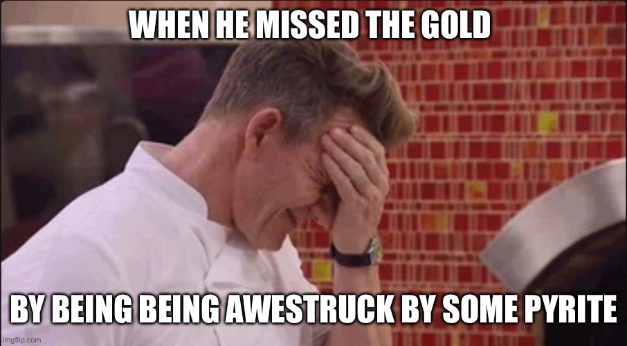 Shaking Head Gordon Ramsey | WHEN HE MISSED THE GOLD; BY BEING BEING AWESTRUCK BY SOME PYRITE | image tagged in shaking head gordon ramsey | made w/ Imgflip meme maker