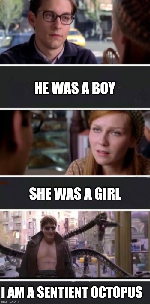 oop | HE WAS A BOY; SHE WAS A GIRL; I AM A SENTIENT OCTOPUS | image tagged in spiderman,fun | made w/ Imgflip meme maker