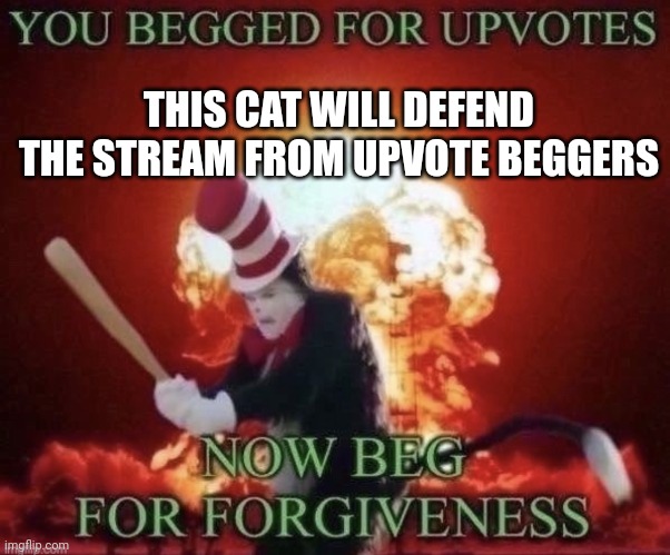 Re-upload this to as many streams as possible and tell me wich ones u sent him to in comments | THIS CAT WILL DEFEND THE STREAM FROM UPVOTE BEGGERS | image tagged in beg for forgiveness,anti meme,memes,meme,anti memes,cat | made w/ Imgflip meme maker