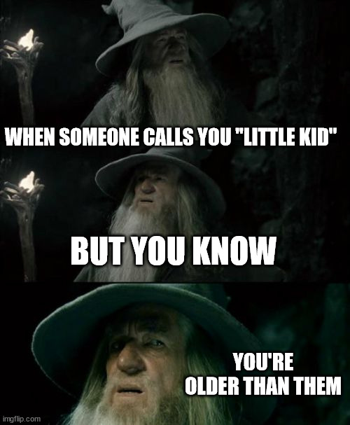 Confused Gandalf | WHEN SOMEONE CALLS YOU "LITTLE KID"; BUT YOU KNOW; YOU'RE OLDER THAN THEM | image tagged in memes,confused gandalf | made w/ Imgflip meme maker