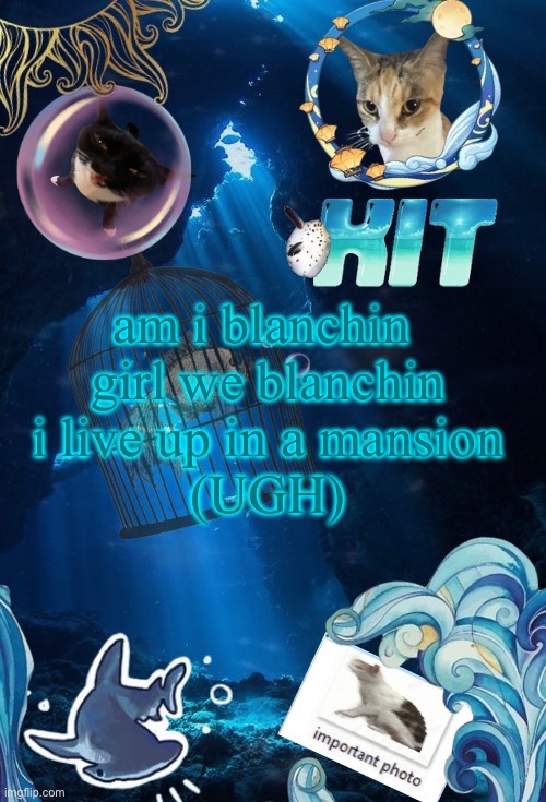 silly announcement template by asriel | am i blanchin 
girl we blanchin
i live up in a mansion
(UGH) | image tagged in silly announcement template by asriel | made w/ Imgflip meme maker