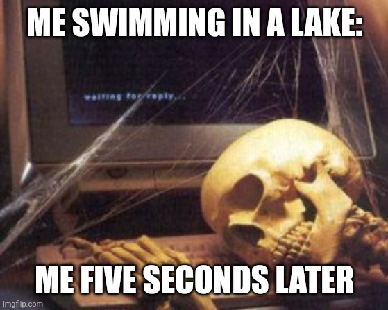 I didn't know that there were pirhanas in the lake | ME SWIMMING IN A LAKE:; ME FIVE SECONDS LATER | image tagged in skeleton computer | made w/ Imgflip meme maker