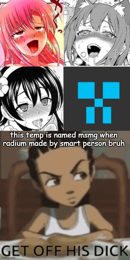 this temp is named msmg when radium made by smart person bruh | made w/ Imgflip meme maker