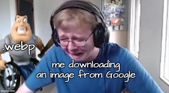 . | .webp; me downloading an image from Google | image tagged in callmecarson crying next to joe swanson | made w/ Imgflip meme maker