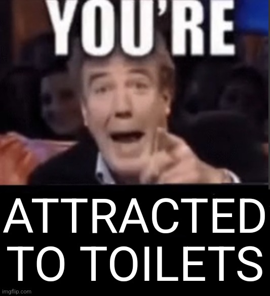 You're X (Blank) | ATTRACTED TO TOILETS | image tagged in you're x blank | made w/ Imgflip meme maker