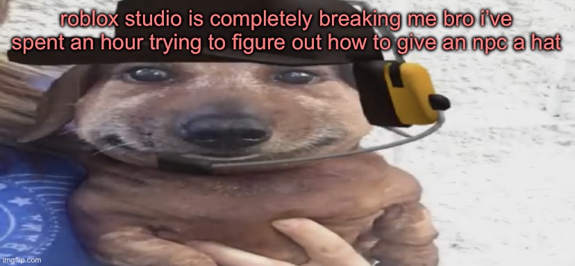 chucklenuts | roblox studio is completely breaking me bro i’ve spent an hour trying to figure out how to give an npc a hat | image tagged in chucklenuts | made w/ Imgflip meme maker