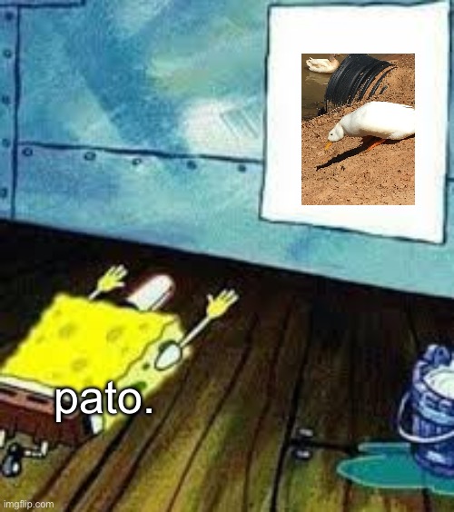 Pato. In a nutshell (pato: funny thing, it's posted by pato.) | pato. | image tagged in spongebob worship | made w/ Imgflip meme maker