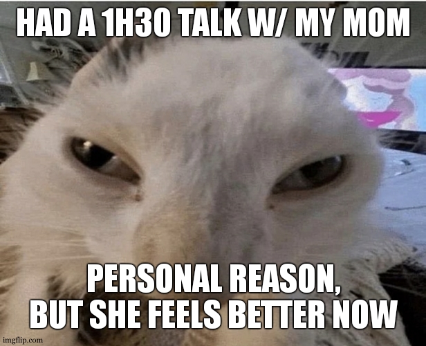 im some sort of all terrain therapist | HAD A 1H30 TALK W/ MY MOM; PERSONAL REASON, BUT SHE FEELS BETTER NOW | image tagged in g | made w/ Imgflip meme maker