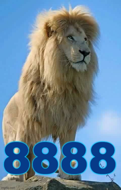 LION'S PORTAL | 8888 | image tagged in lions,portal,ascension,lion,lioness,lion king | made w/ Imgflip meme maker