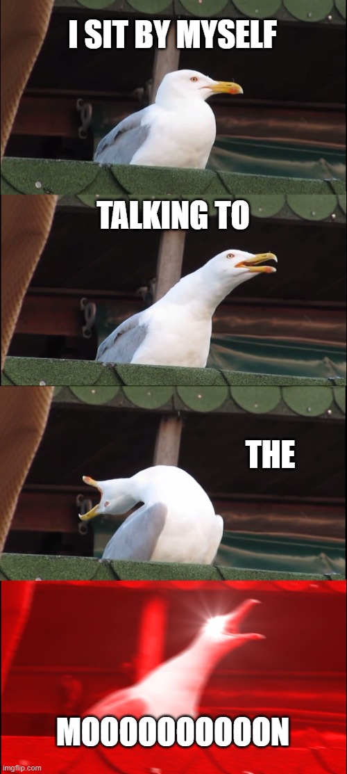 Inhaling Seagull Meme | I SIT BY MYSELF; TALKING TO; THE; MOOOOOOOOOON | image tagged in memes,inhaling seagull,bruno mars,screaming,music,singing | made w/ Imgflip meme maker