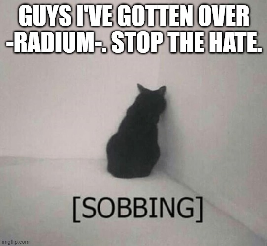 Sobbing cat | GUYS I'VE GOTTEN OVER -RADIUM-. STOP THE HATE. | image tagged in sobbing cat | made w/ Imgflip meme maker