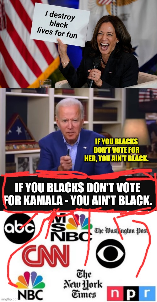 I destroy black lives for fun; IF YOU BLACKS DON'T VOTE FOR HER, YOU AIN'T BLACK. IF YOU BLACKS DON'T VOTE FOR KAMALA - YOU AIN'T BLACK. | image tagged in kamala harris holding sign,biden you ain't black,media lies | made w/ Imgflip meme maker