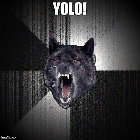 Insanity Wolf Meme | YOLO! | image tagged in memes,insanity wolf | made w/ Imgflip meme maker