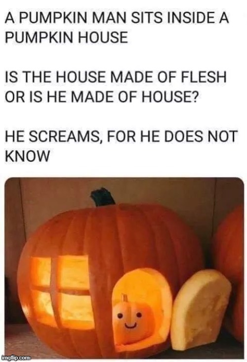 image tagged in halloween,pumpkin,memes,weird,screaming,funny memes | made w/ Imgflip meme maker