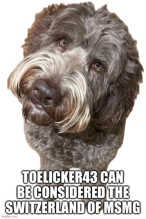 He is neutral with everyone, even hated users | TOELICKER43 CAN BE CONSIDERED THE SWITZERLAND OF MSMG | image tagged in doug | made w/ Imgflip meme maker