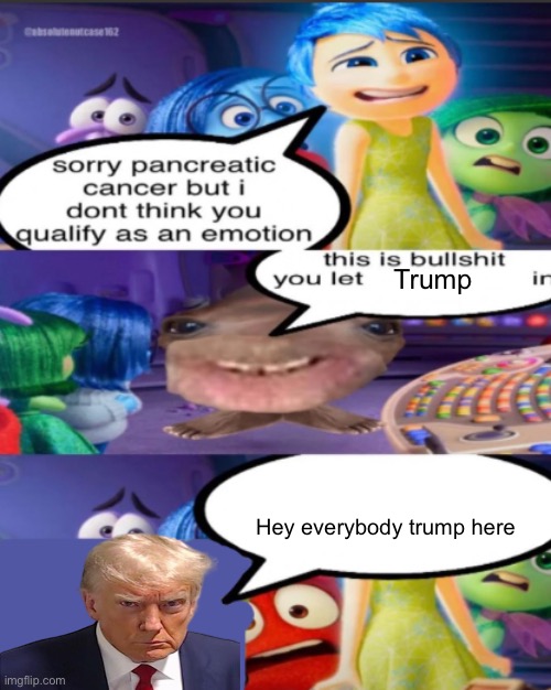 Stupid fucking meme | Trump; Hey everybody trump here | image tagged in sorry pancreatic cancer but i don t think you qualify as an emot | made w/ Imgflip meme maker