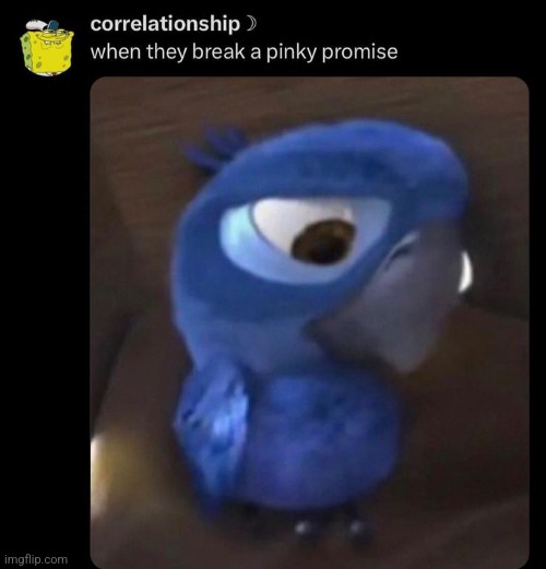 also fuck you braxton | made w/ Imgflip meme maker
