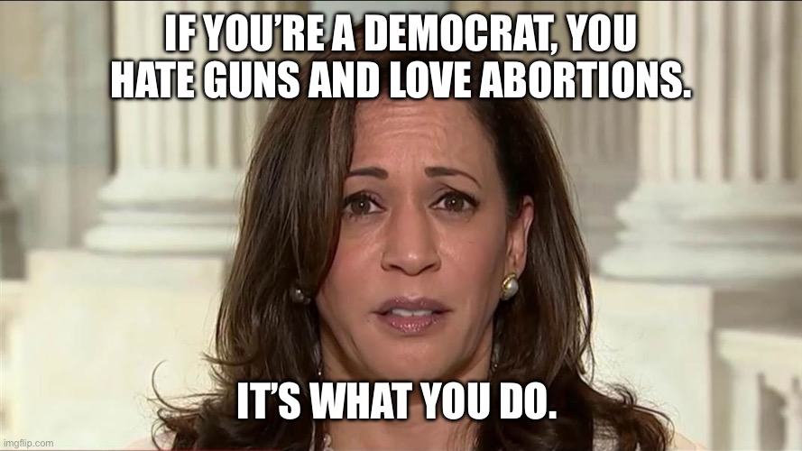 kamala harris | IF YOU’RE A DEMOCRAT, YOU HATE GUNS AND LOVE ABORTIONS. IT’S WHAT YOU DO. | image tagged in kamala harris | made w/ Imgflip meme maker